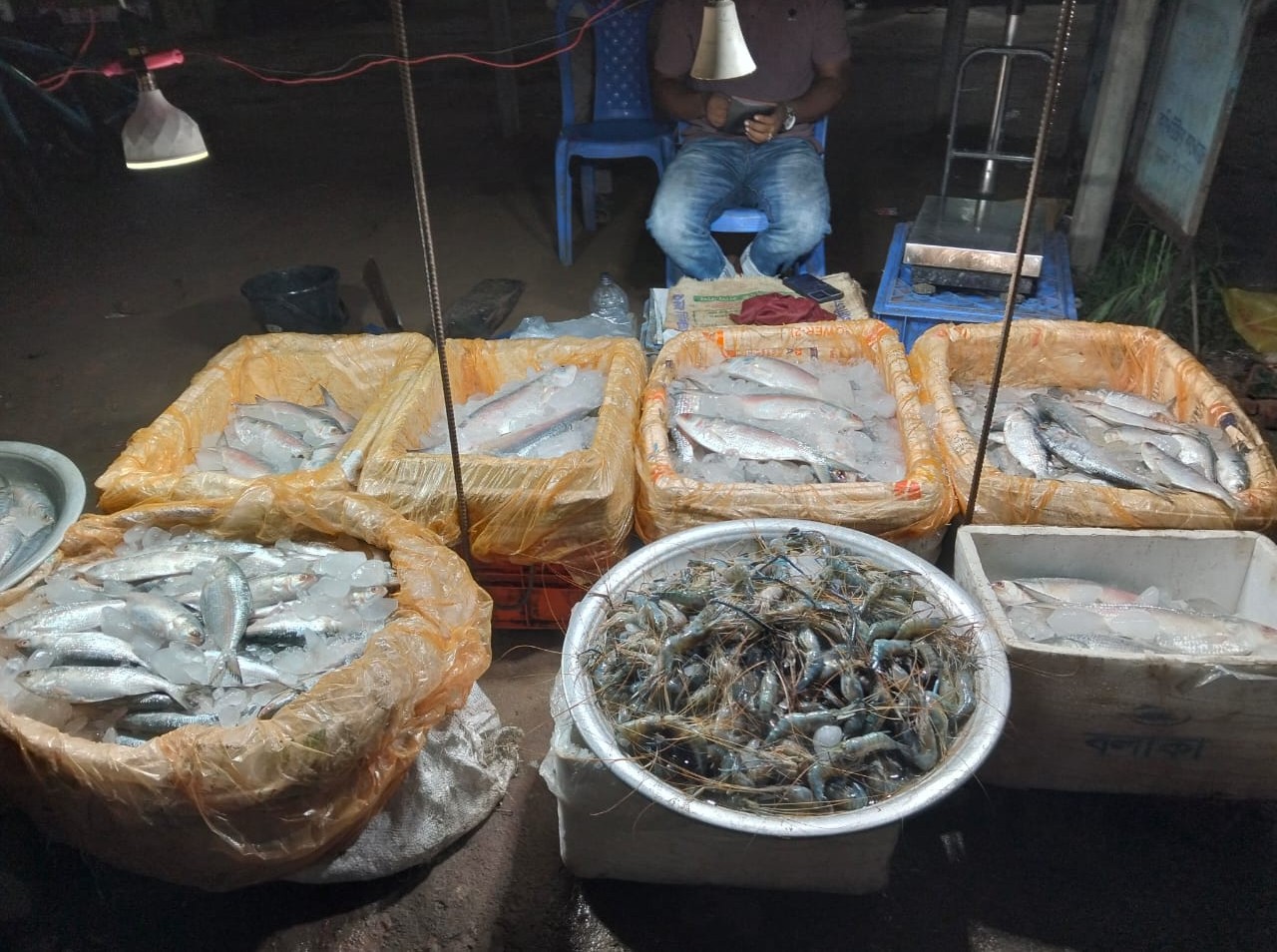 বিসমিল্লাহ মৎস আড়ৎ 